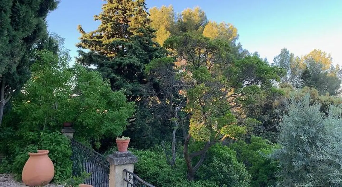 Chambre d'hotes le Mas des Pignes LANDSCAPE