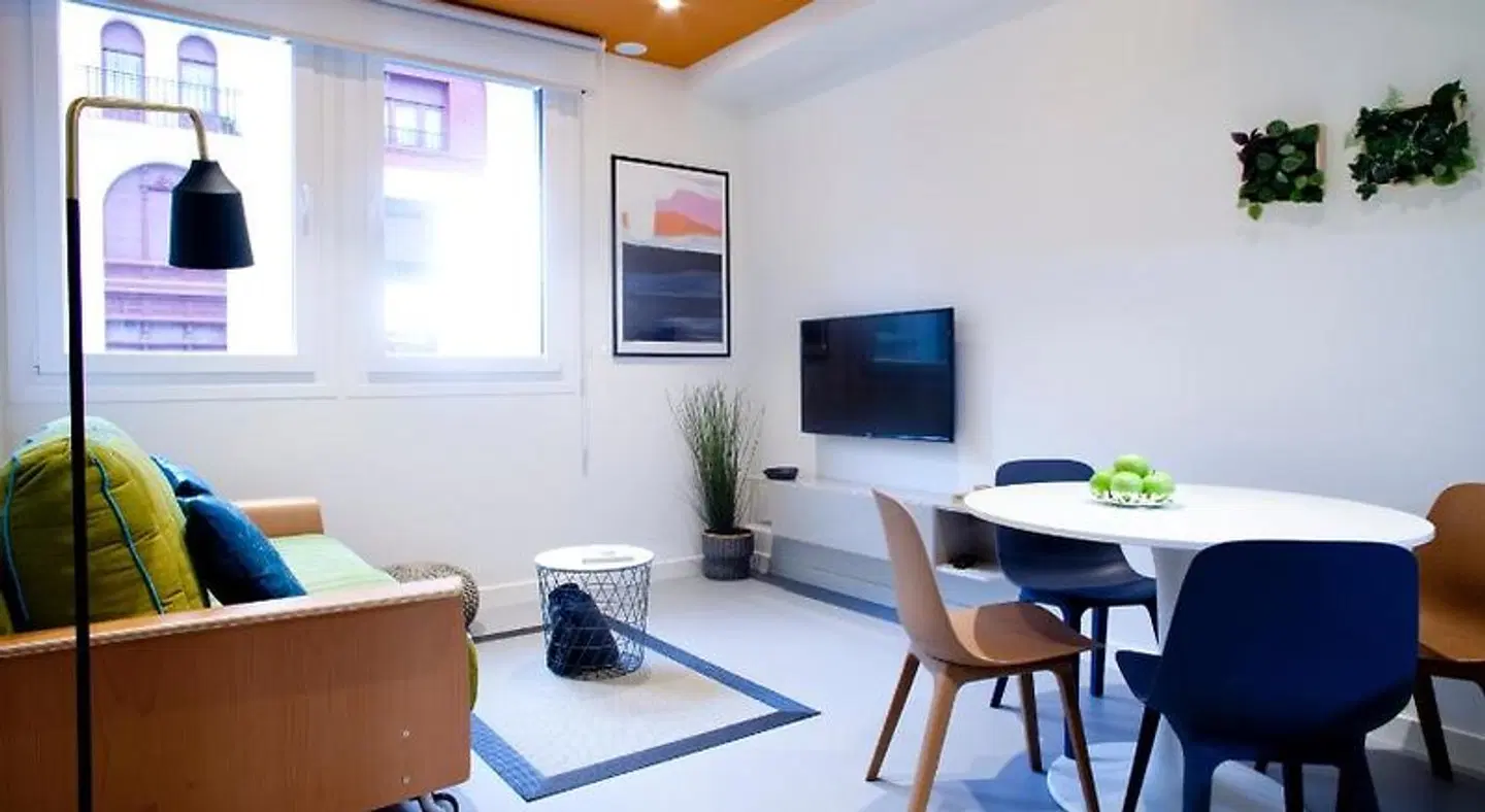 Bilbao Centric Apartments ROOM_EXAMPLE