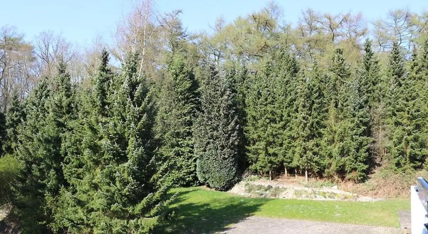 Graf Balduin Garten