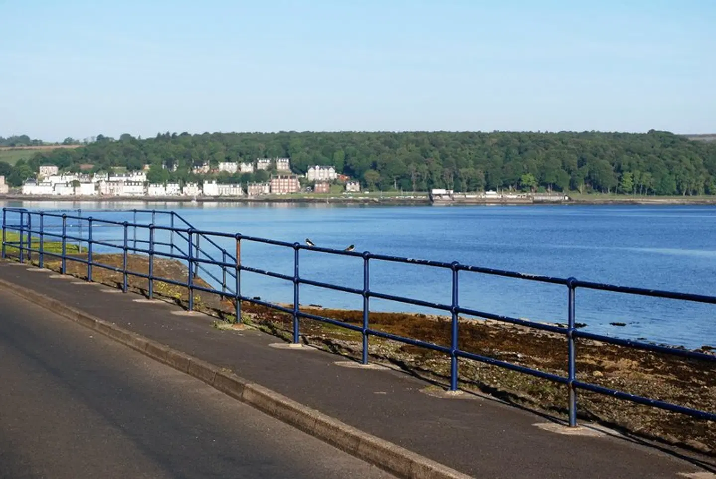 The Ardyne Strand