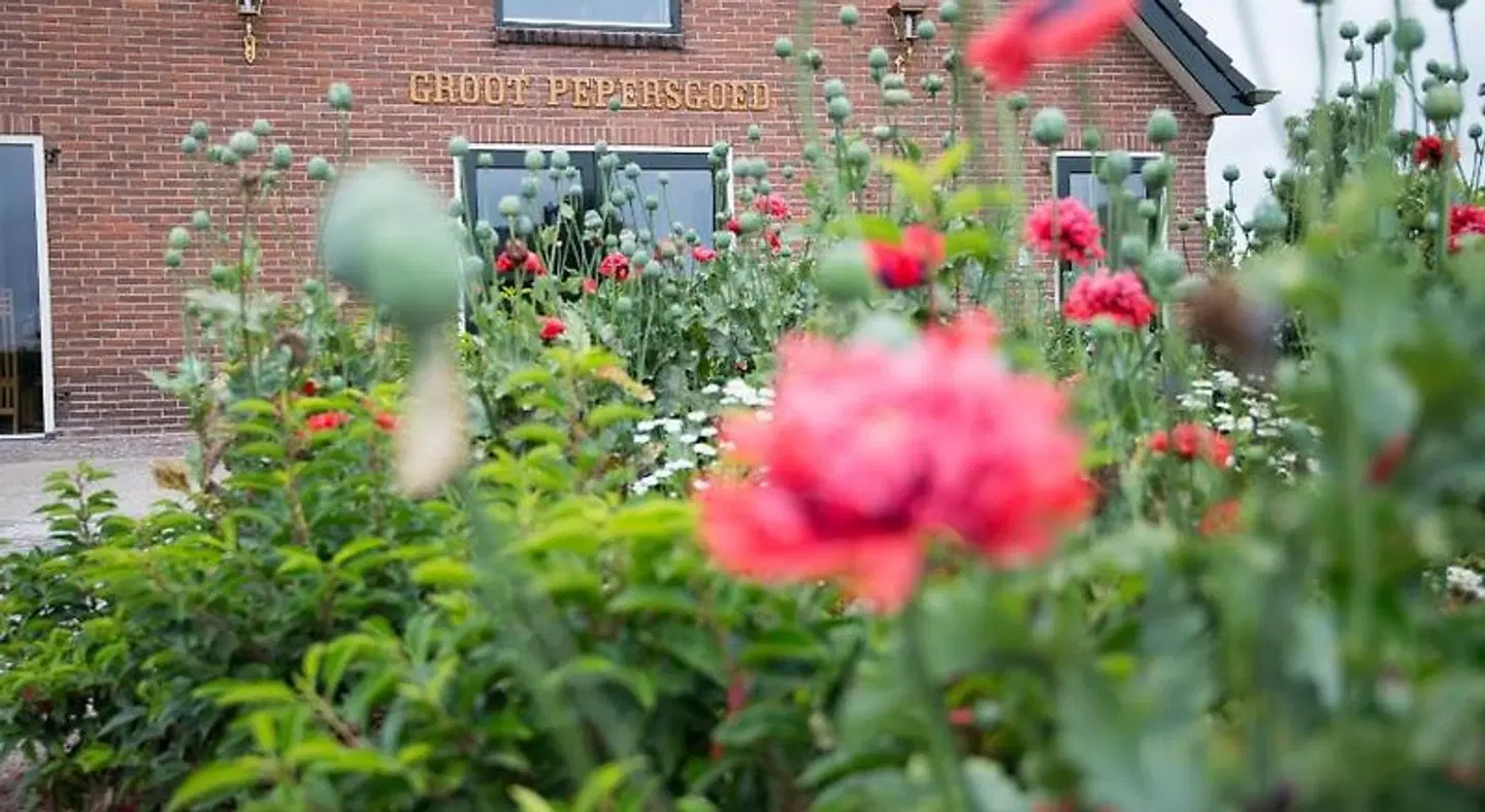 B&B Groot Pepersgoed EXTERIOR
