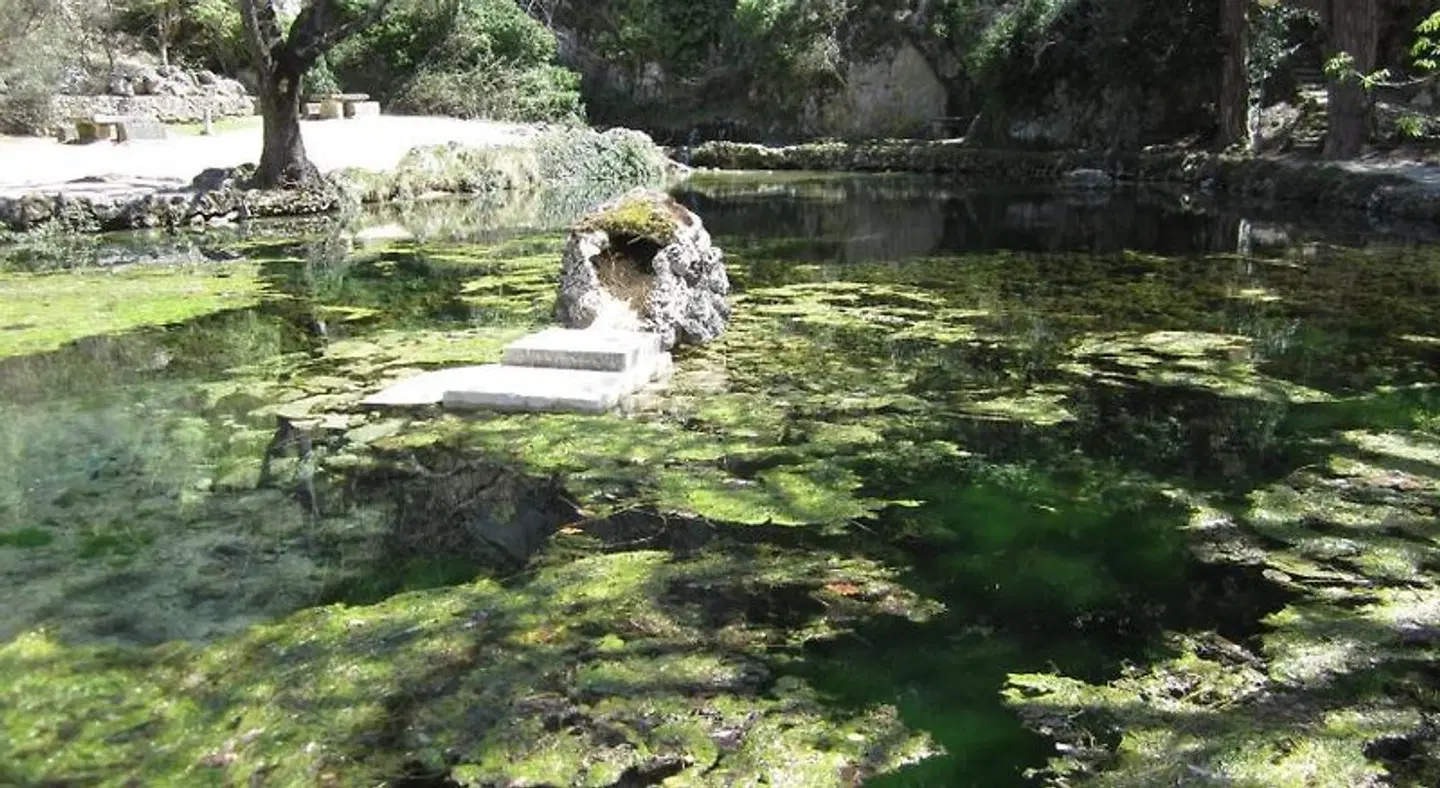 Domaine des Tilleuls LANDSCAPE