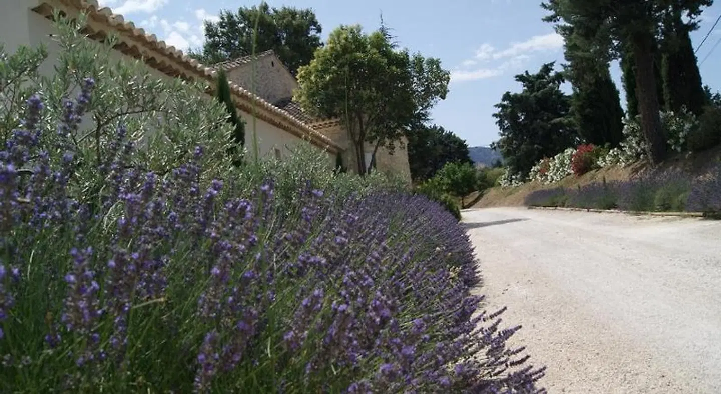 Mas en pierres dans le Luberon Garten