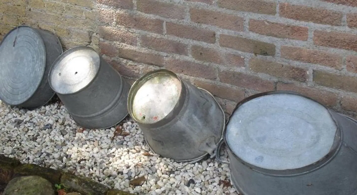 B&B De Gouden Vlo SPORTS_AND_LEISURE