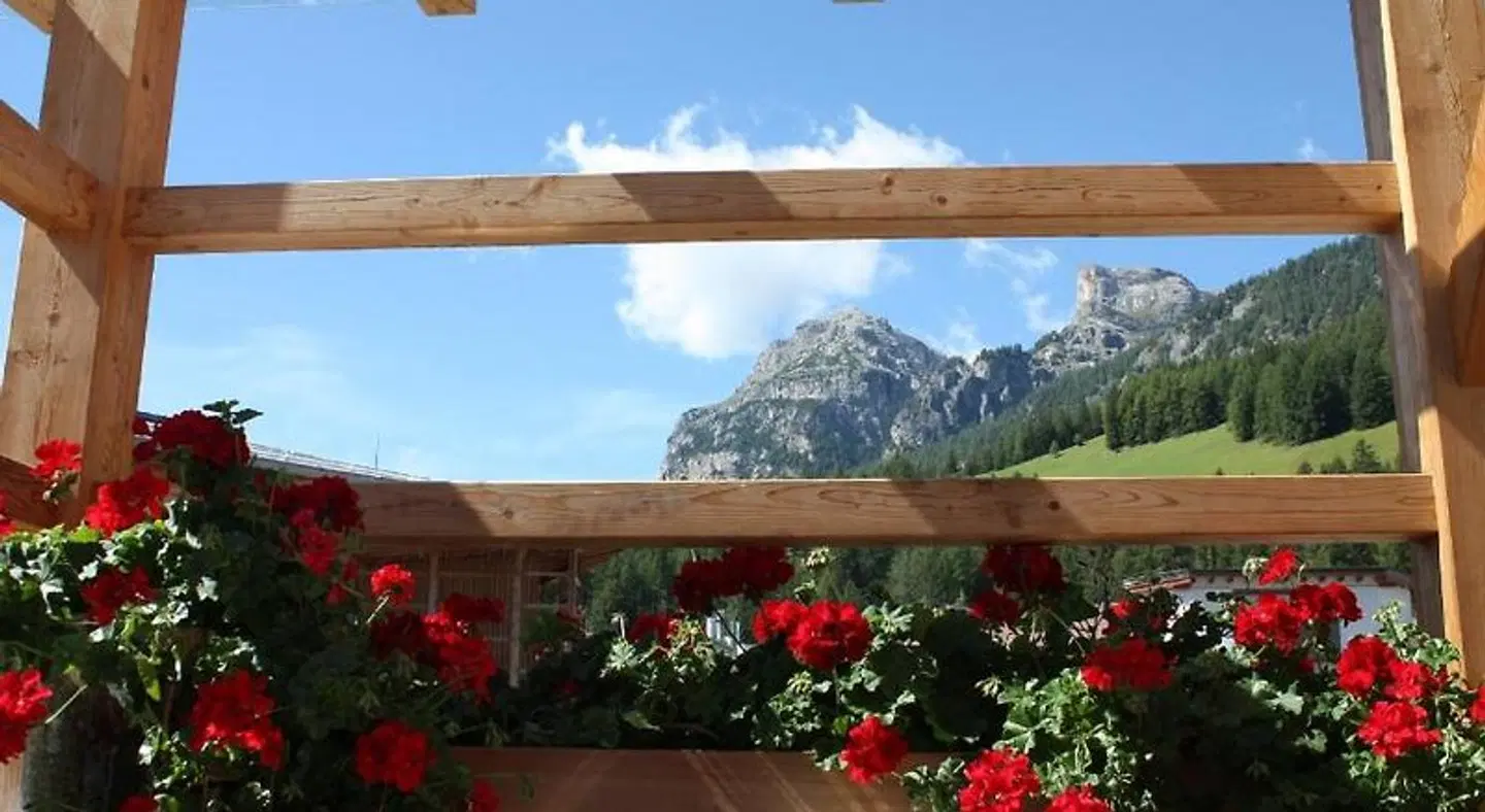 Chalet Mi Amur EXTERIOR