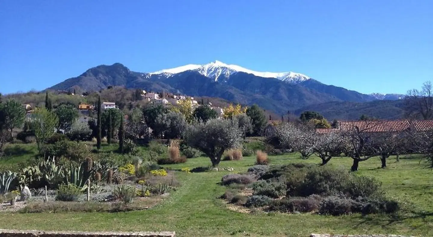 Castellrose LANDSCAPE