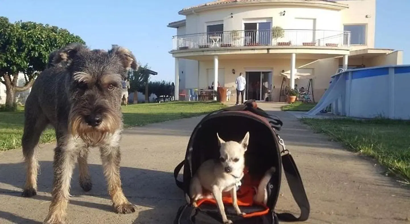 Casa Miguel y Sally Tiere