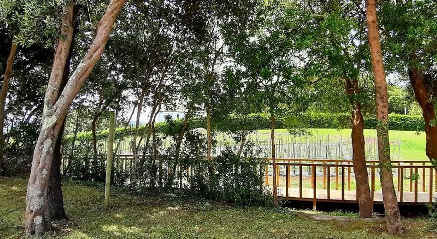 Olimpo Garten