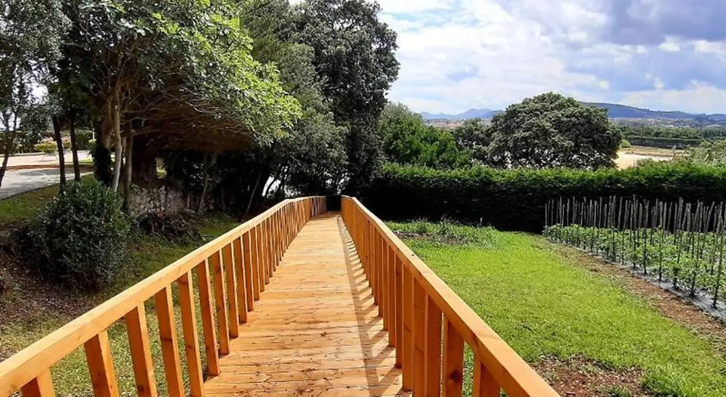 Olimpo LANDSCAPE