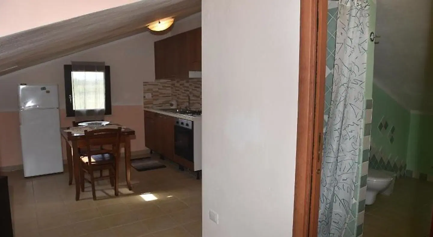 Palmas Dorada ROOM_EXAMPLE