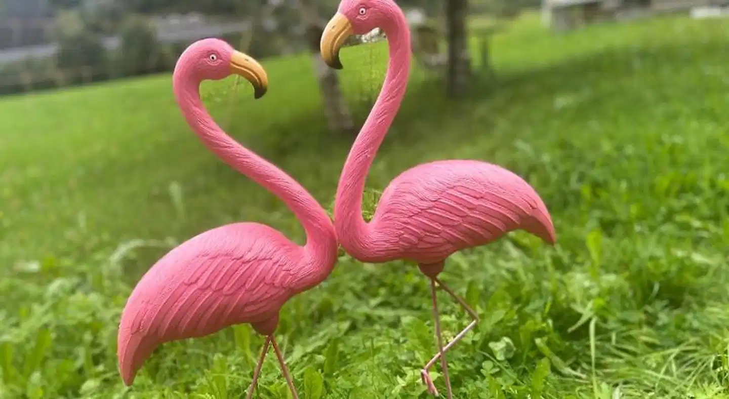 Brekke Apartments Tiere