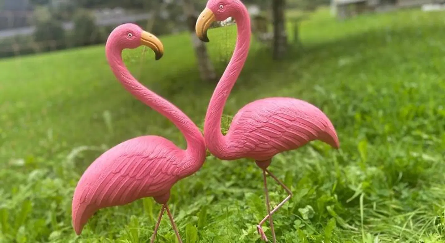 Brekke Apartments Tiere