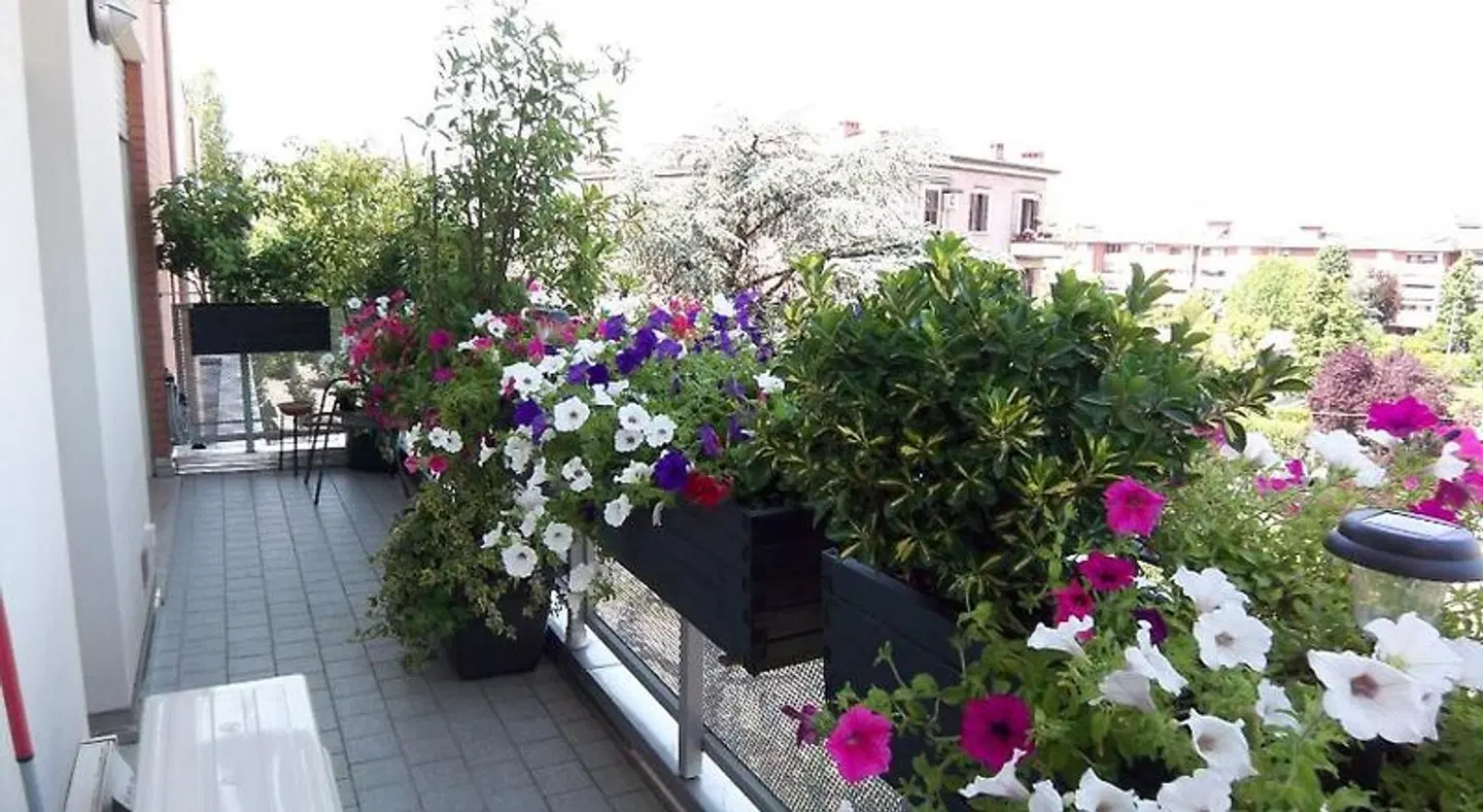 B&B Pitstop Terrasse