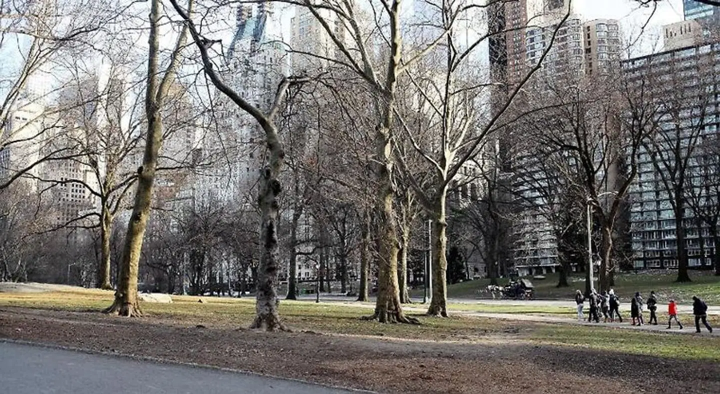 The Carnegie LANDSCAPE