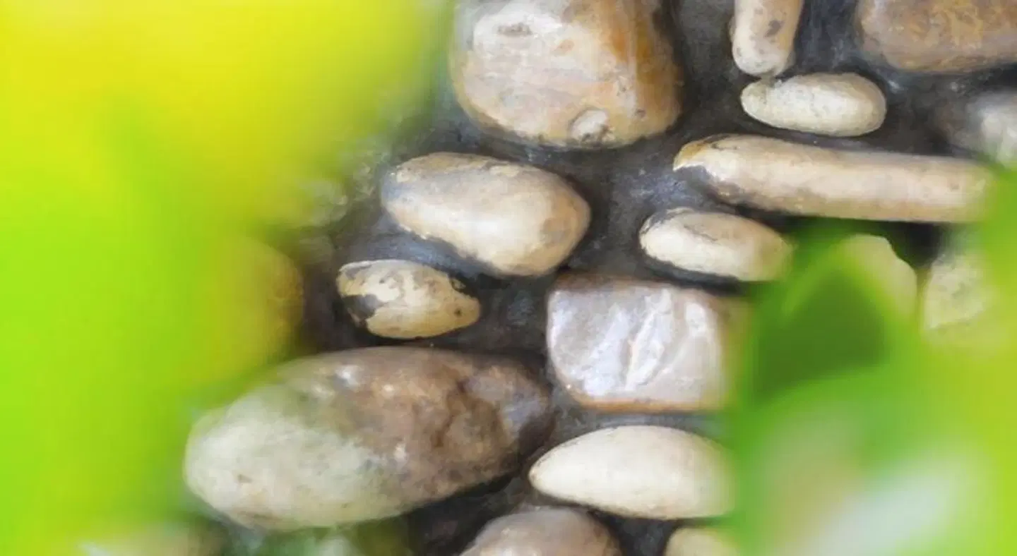 Hotel Aria di Mare Badezimmer