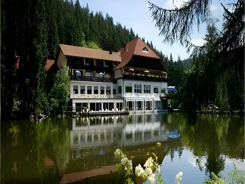 Langenwaldsee – Hotelfoto