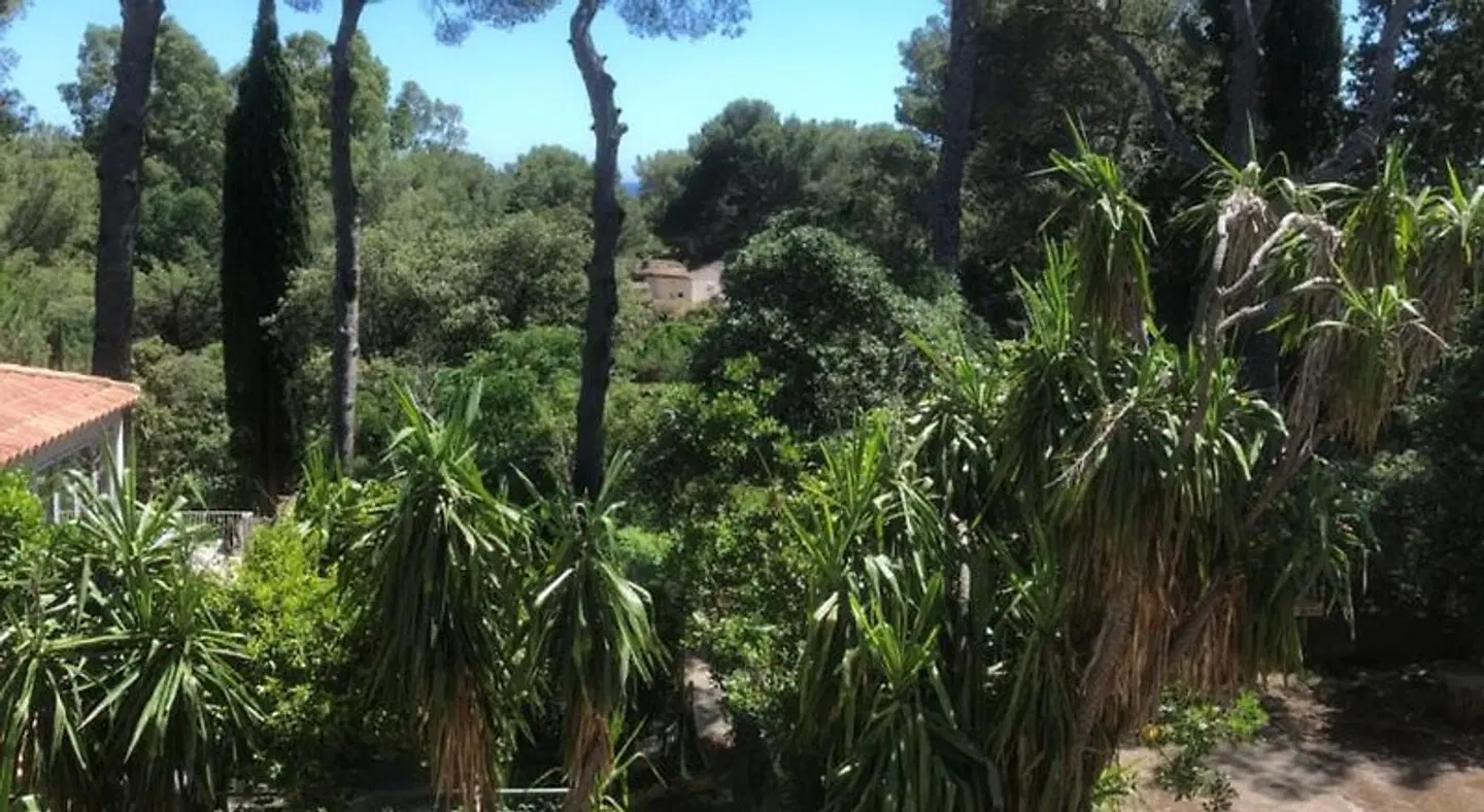 De La Mer LANDSCAPE