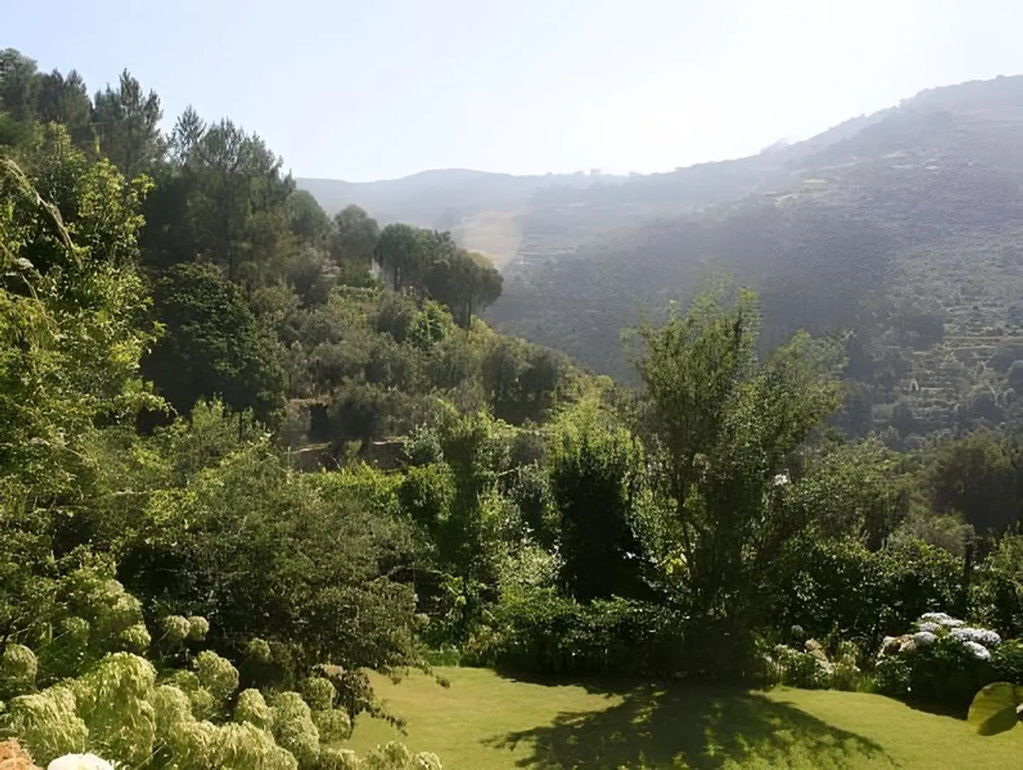 Quinta Das Escomoeiras LANDSCAPE