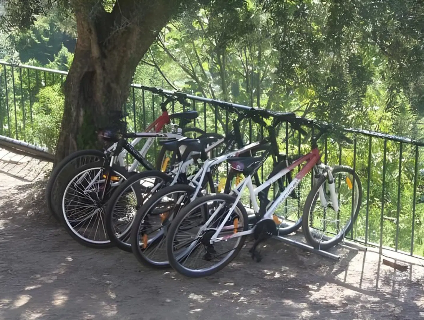 Quinta Das Escomoeiras SPORTS_AND_LEISURE