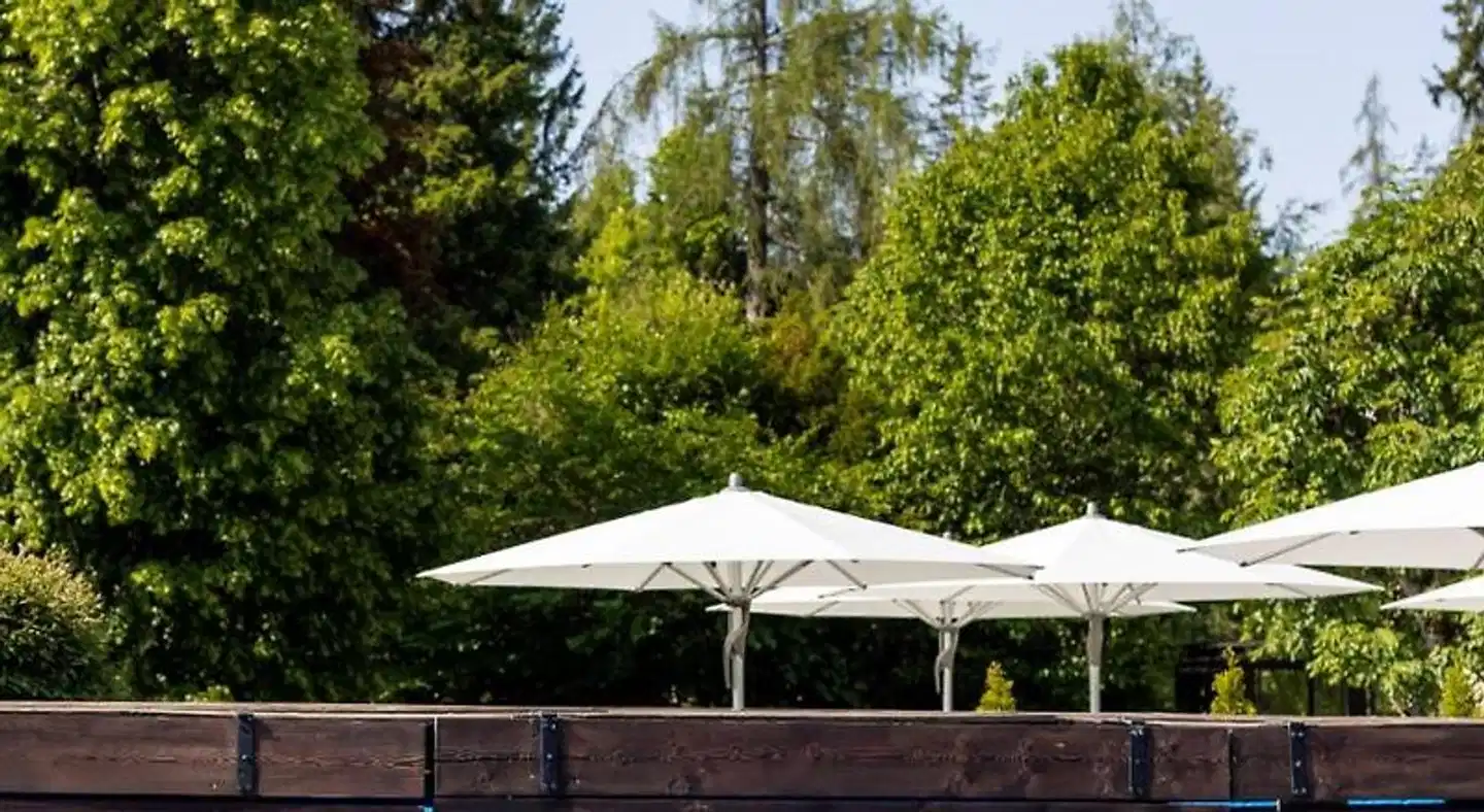 Soldanella by Hotel Adula Garten