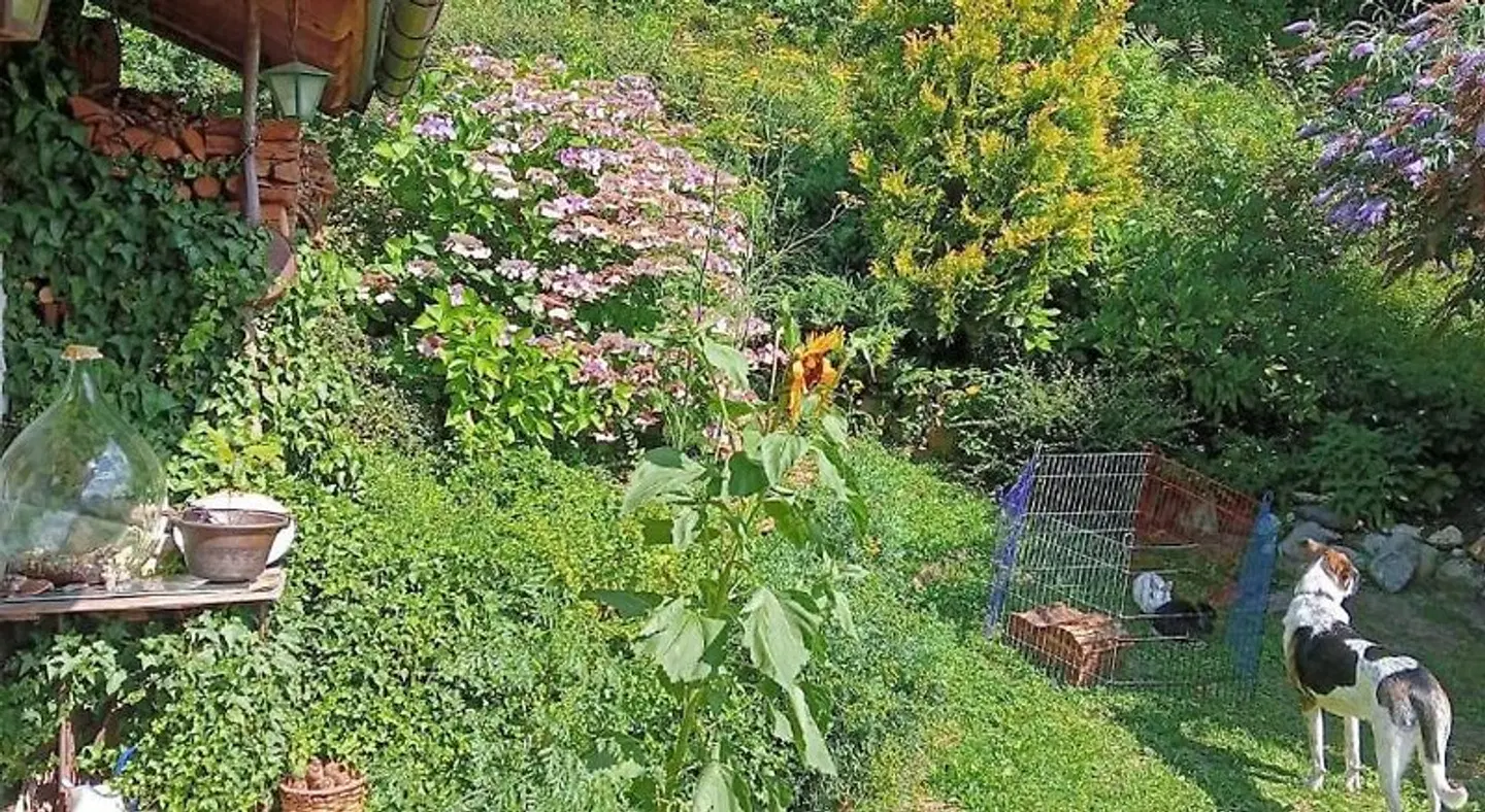 Il Ciliegio Garten