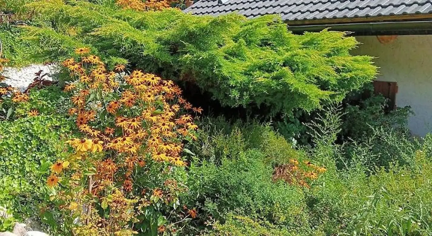 Il Ciliegio Garten