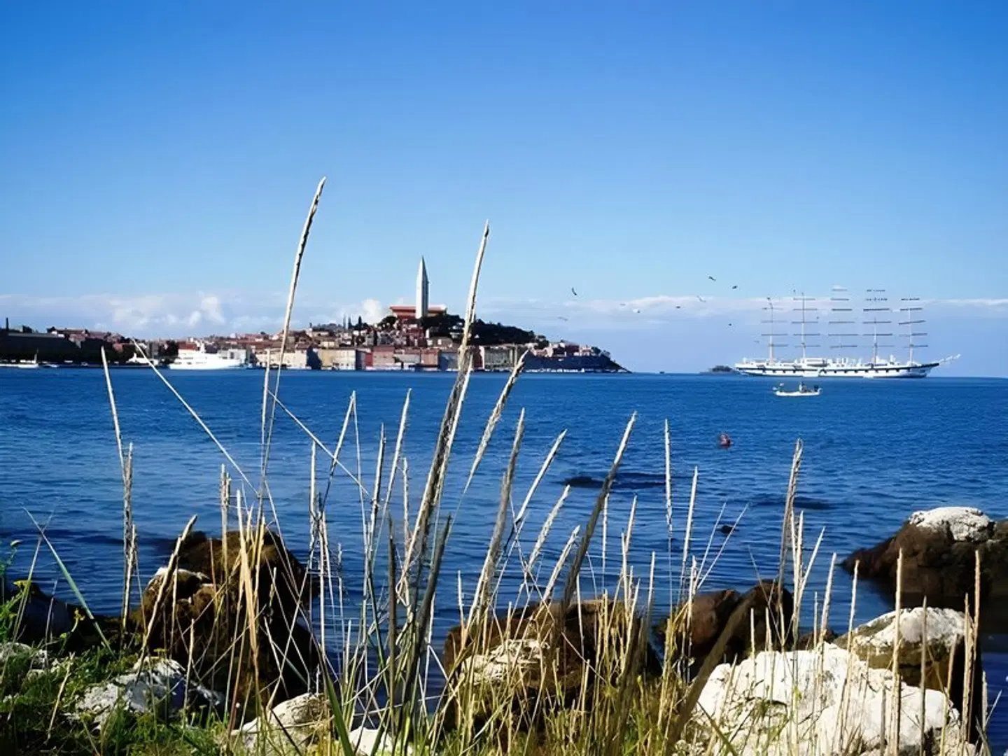 Marina Bed and Breakfast LANDSCAPE