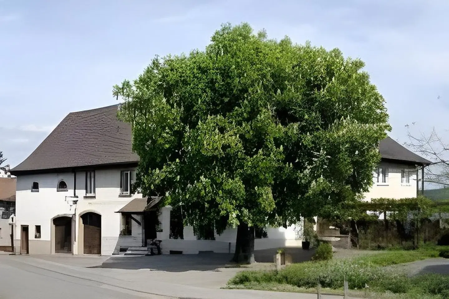 Maien EXTERIOR