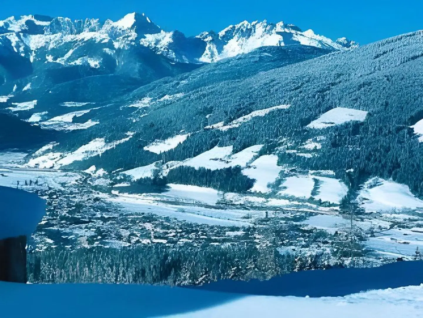 Landhaus Steiner LANDSCAPE