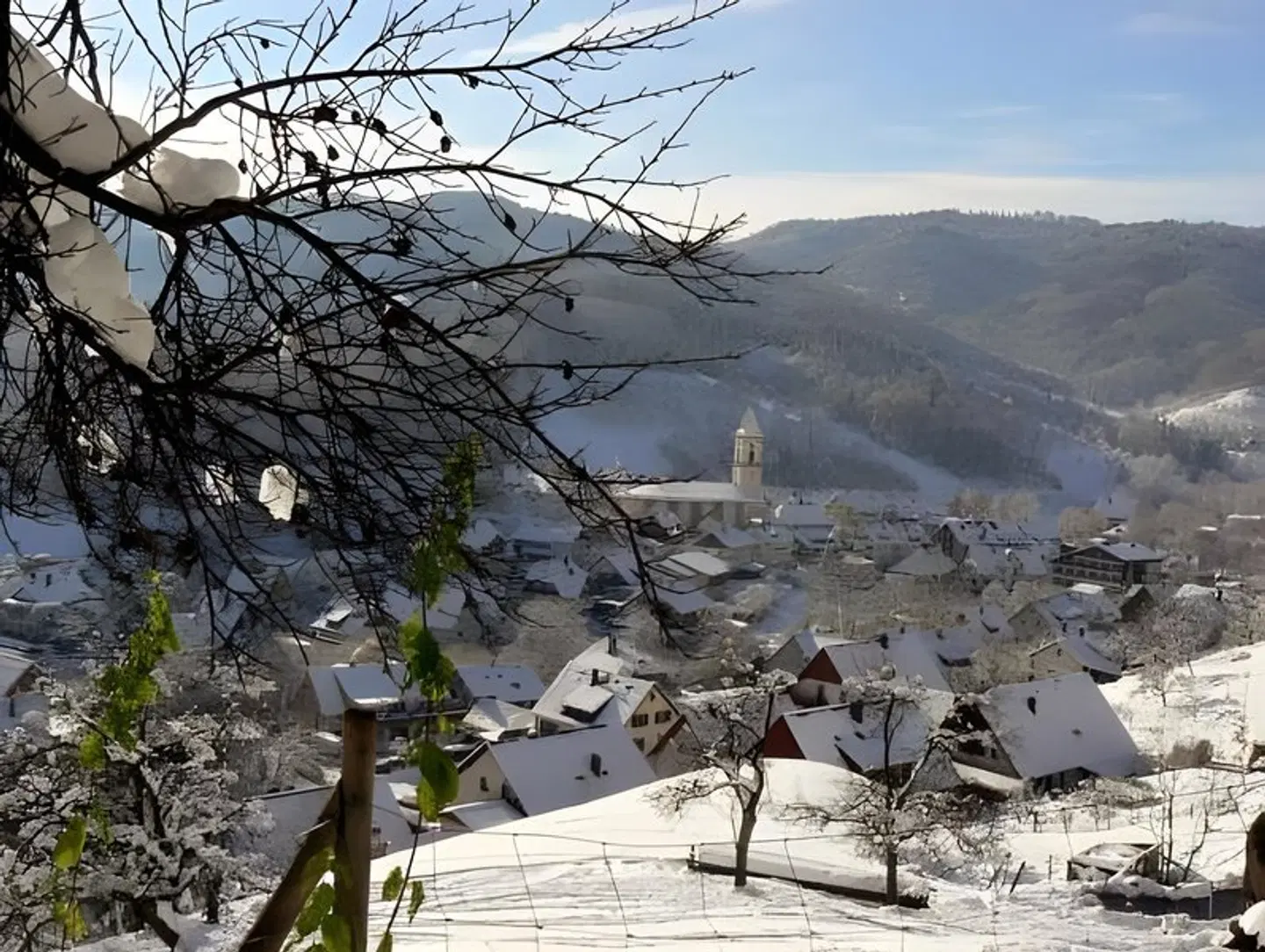 Pflug LANDSCAPE