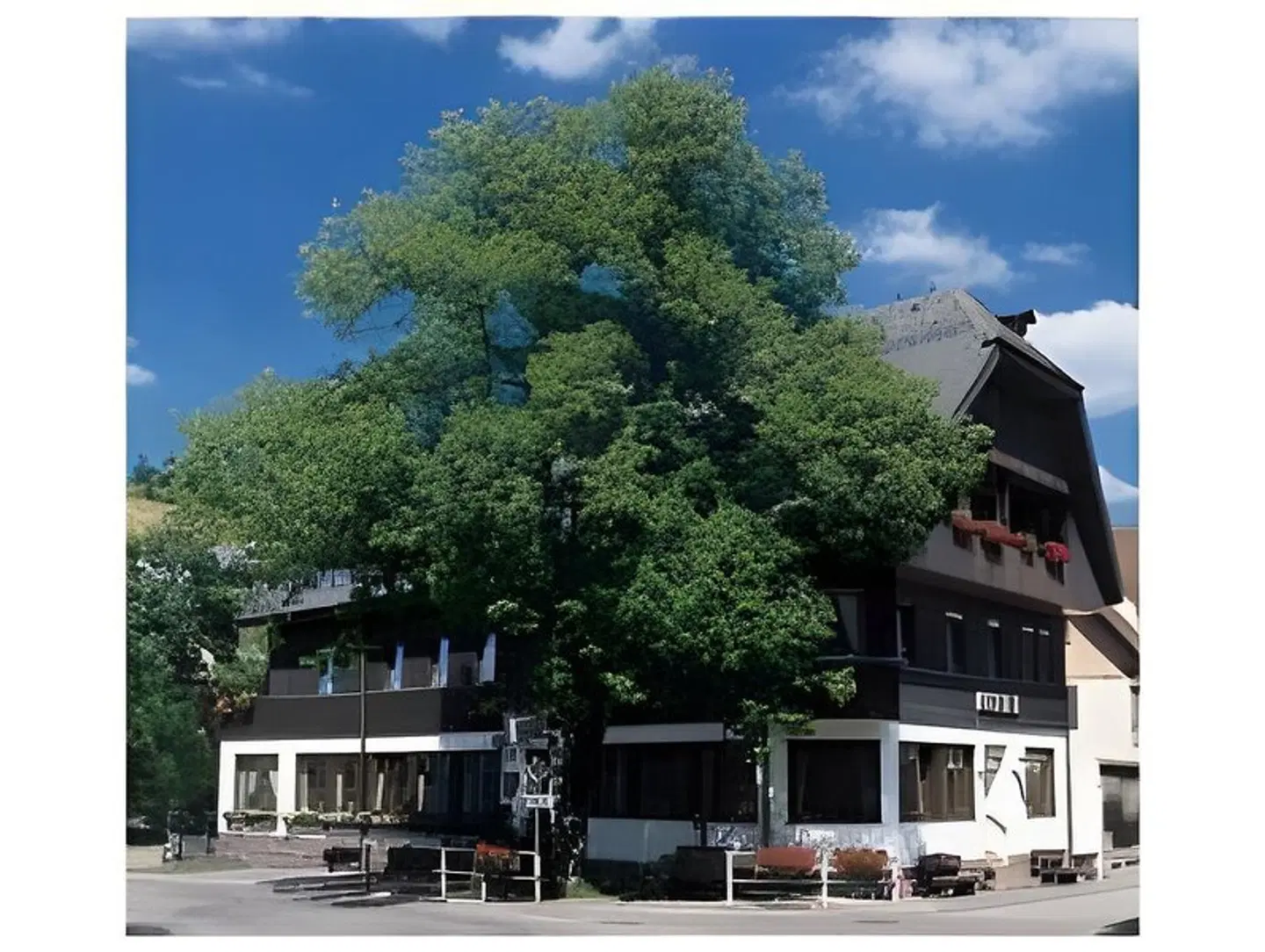 Adler EXTERIOR