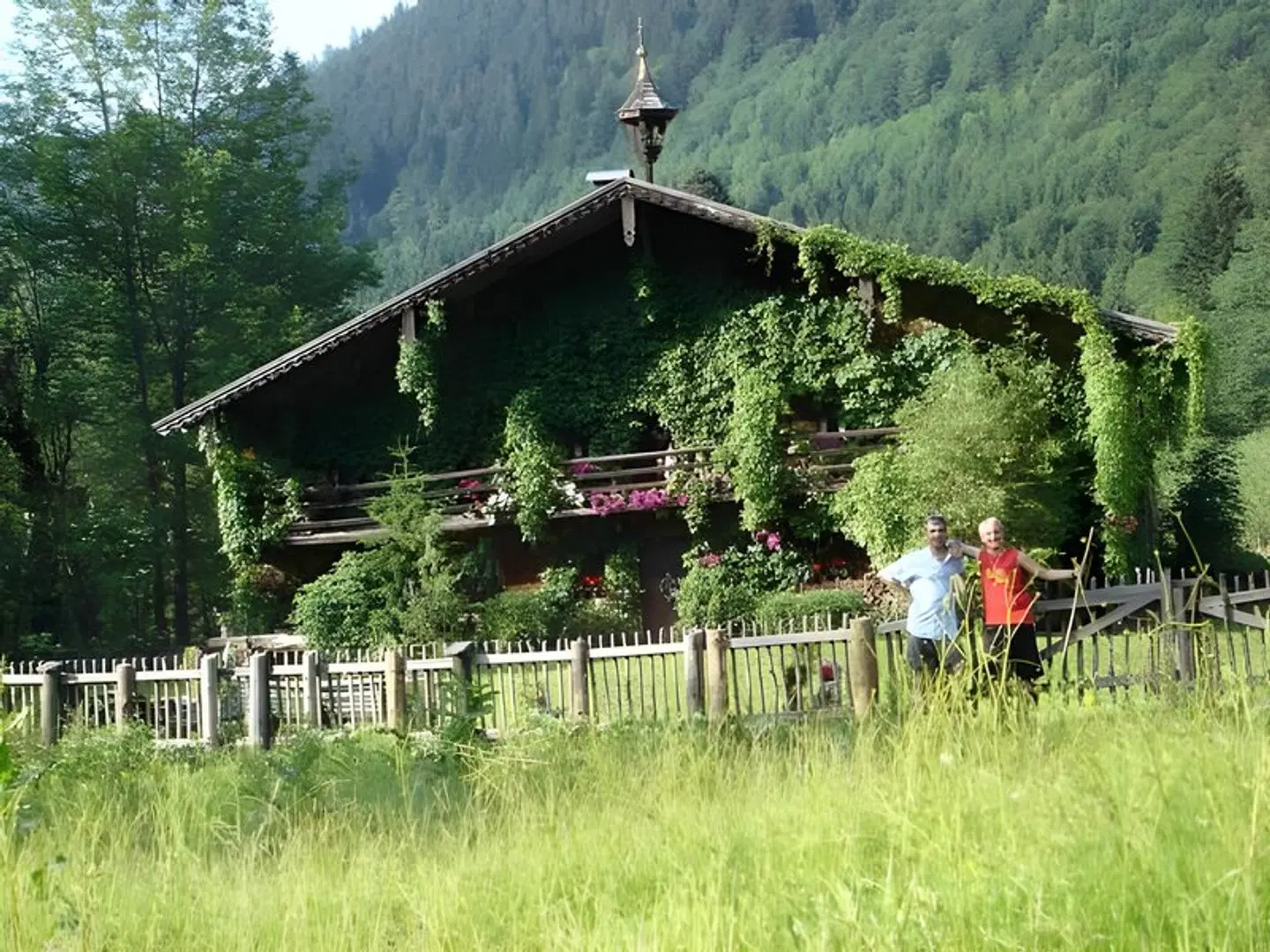 Alpenblick Pension LANDSCAPE