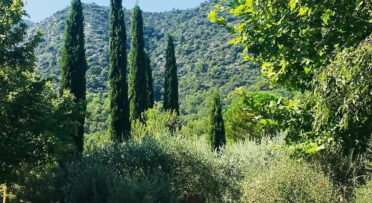 Le Champ des Oliviers LANDSCAPE