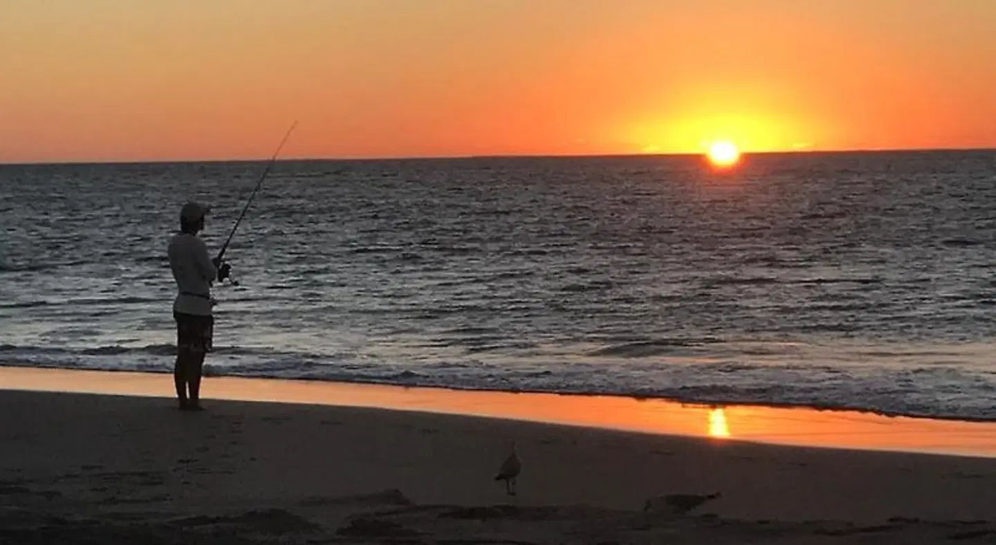 Peoples Park LANDSCAPE