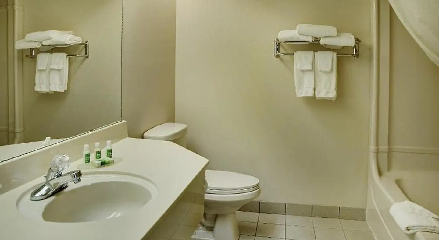 Lakeview Inn & Suites Brandon Badezimmer