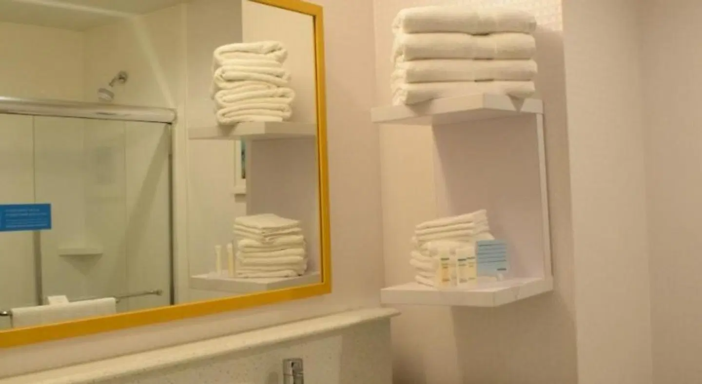 Hampton Inn Buffalo-Hamburg Badezimmer