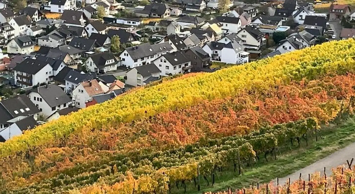 RheinVilla ARTE LANDSCAPE