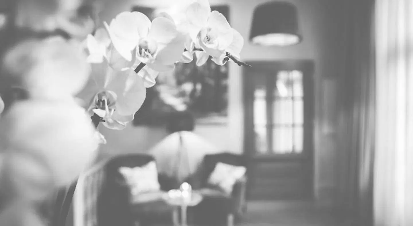 Hotel Bellini Restaurant