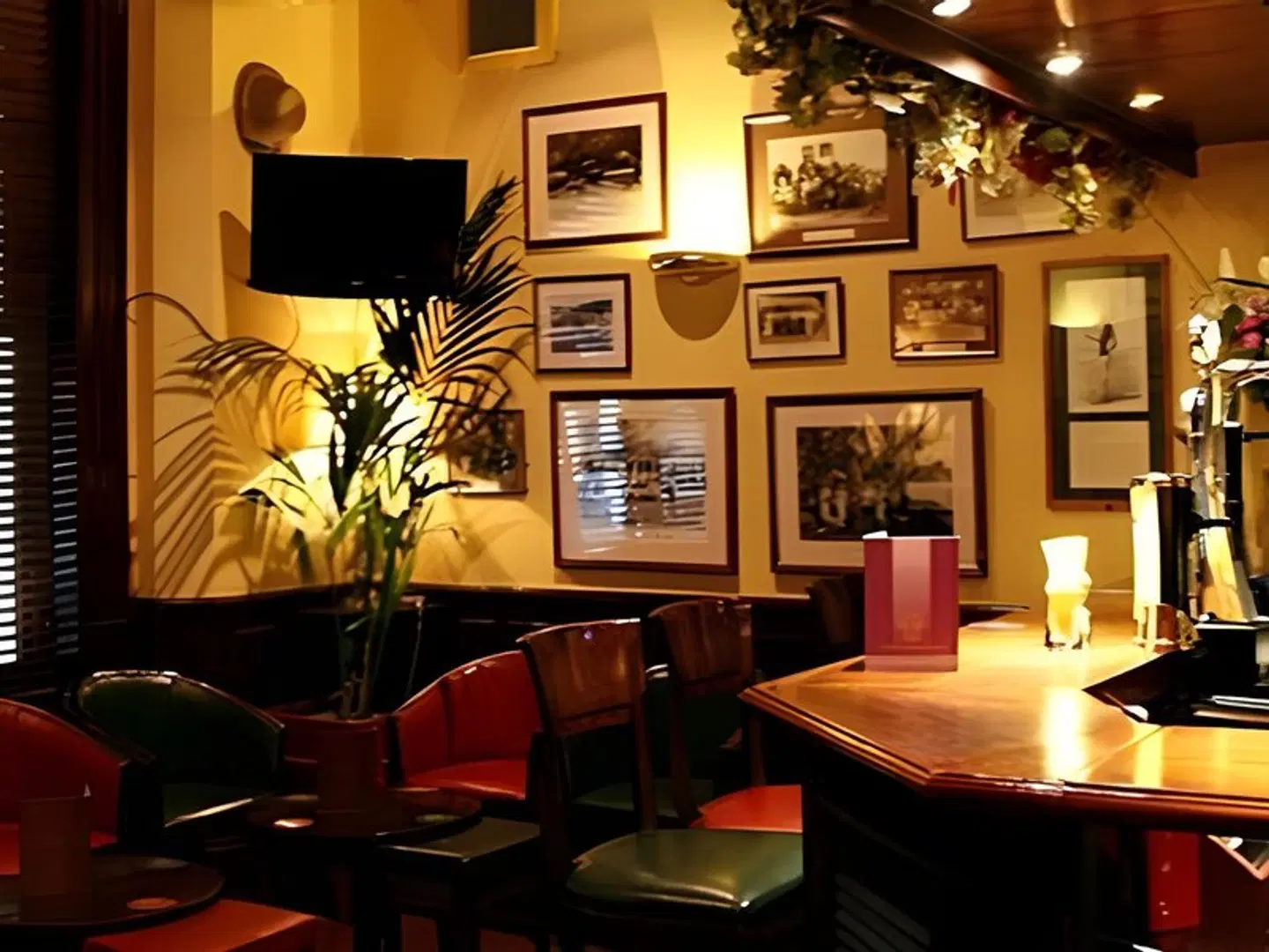 Tamasha Hotel Bar