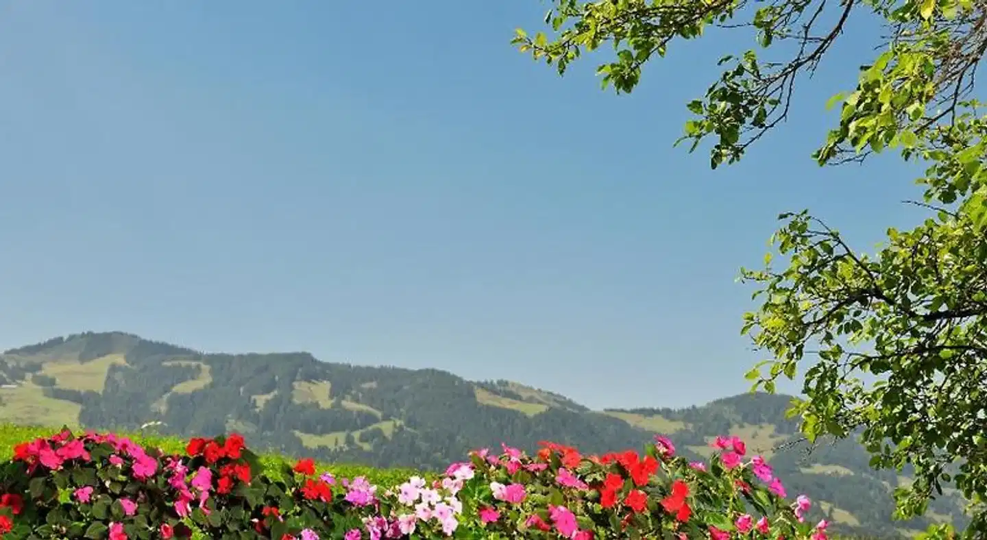 Alpenblick Landschaft