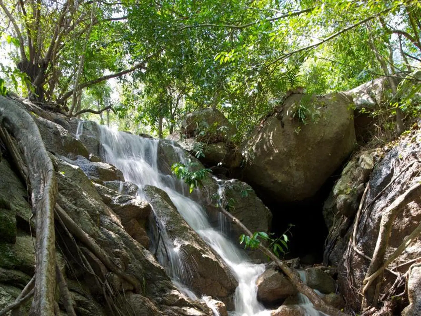 Tanote Villa Hill Koh Tao LANDSCAPE