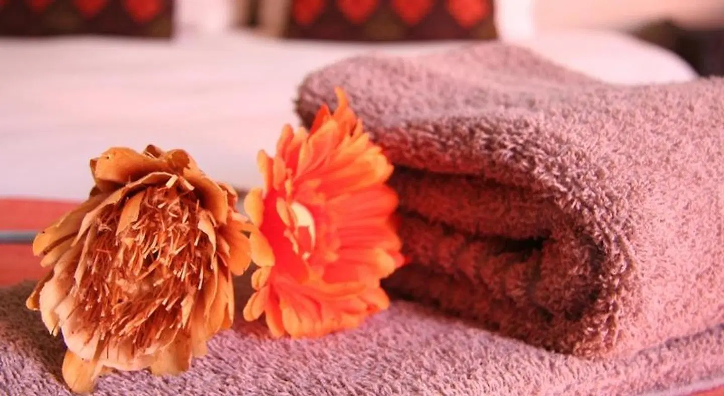 Dunedin Star Guesthouse ROOM_EXAMPLE