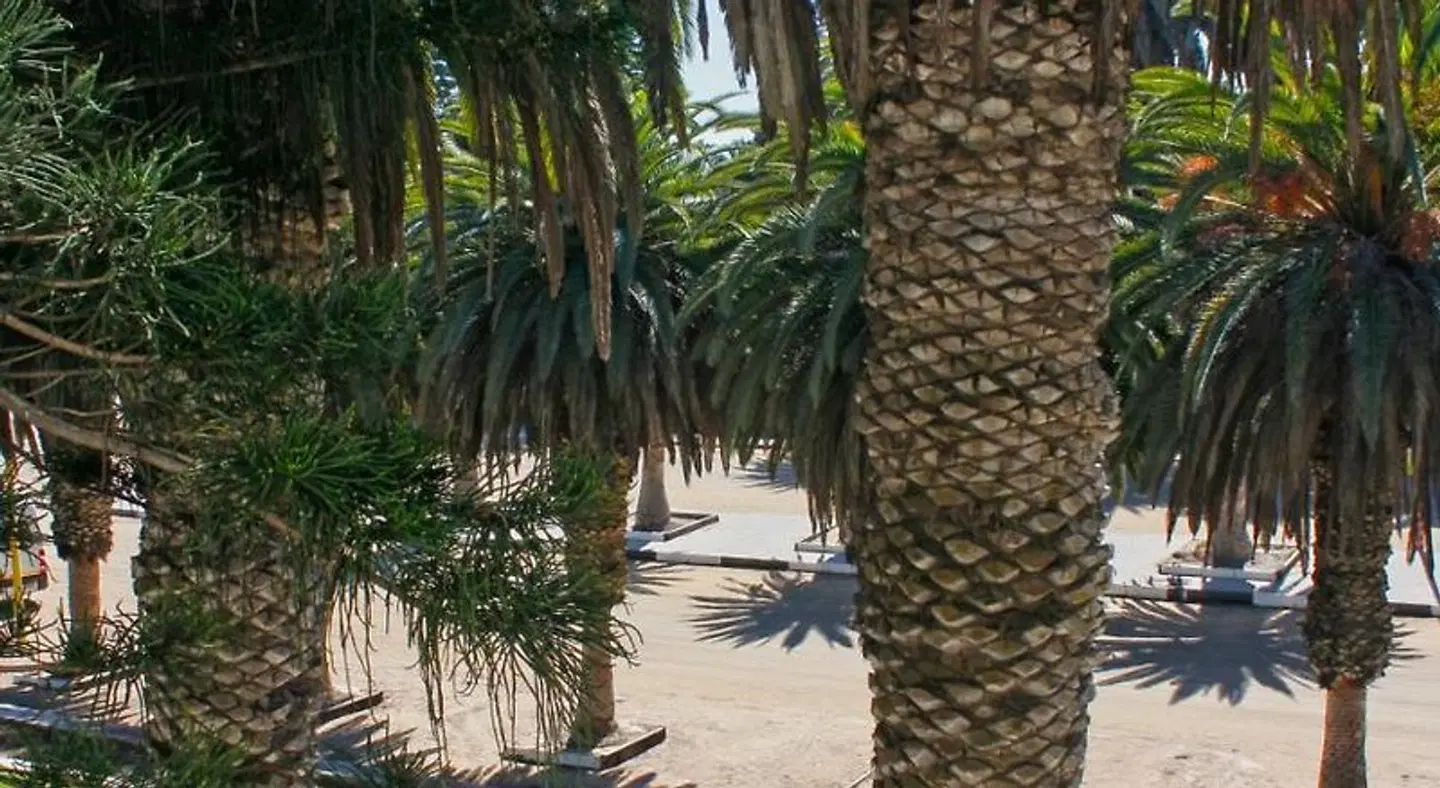 Swakopmund Luxury Suites Garten