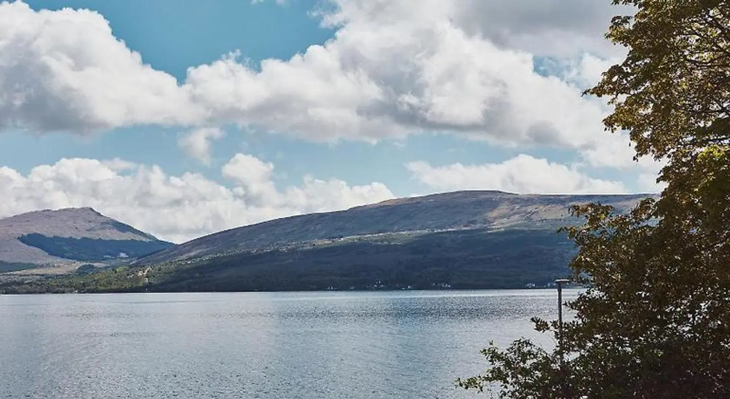 Brambles of Inveraray LANDSCAPE