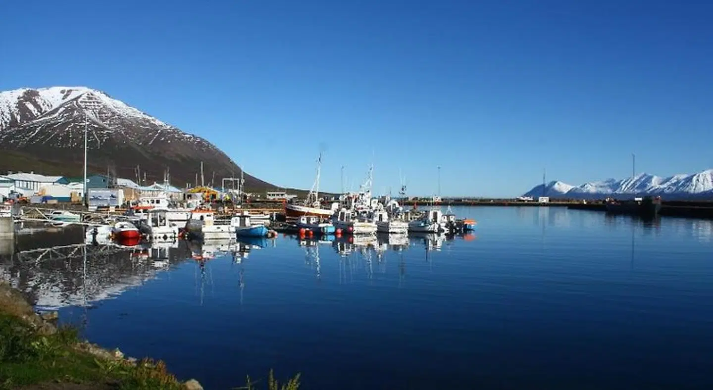 Dalvík Hostel Gimli LANDSCAPE