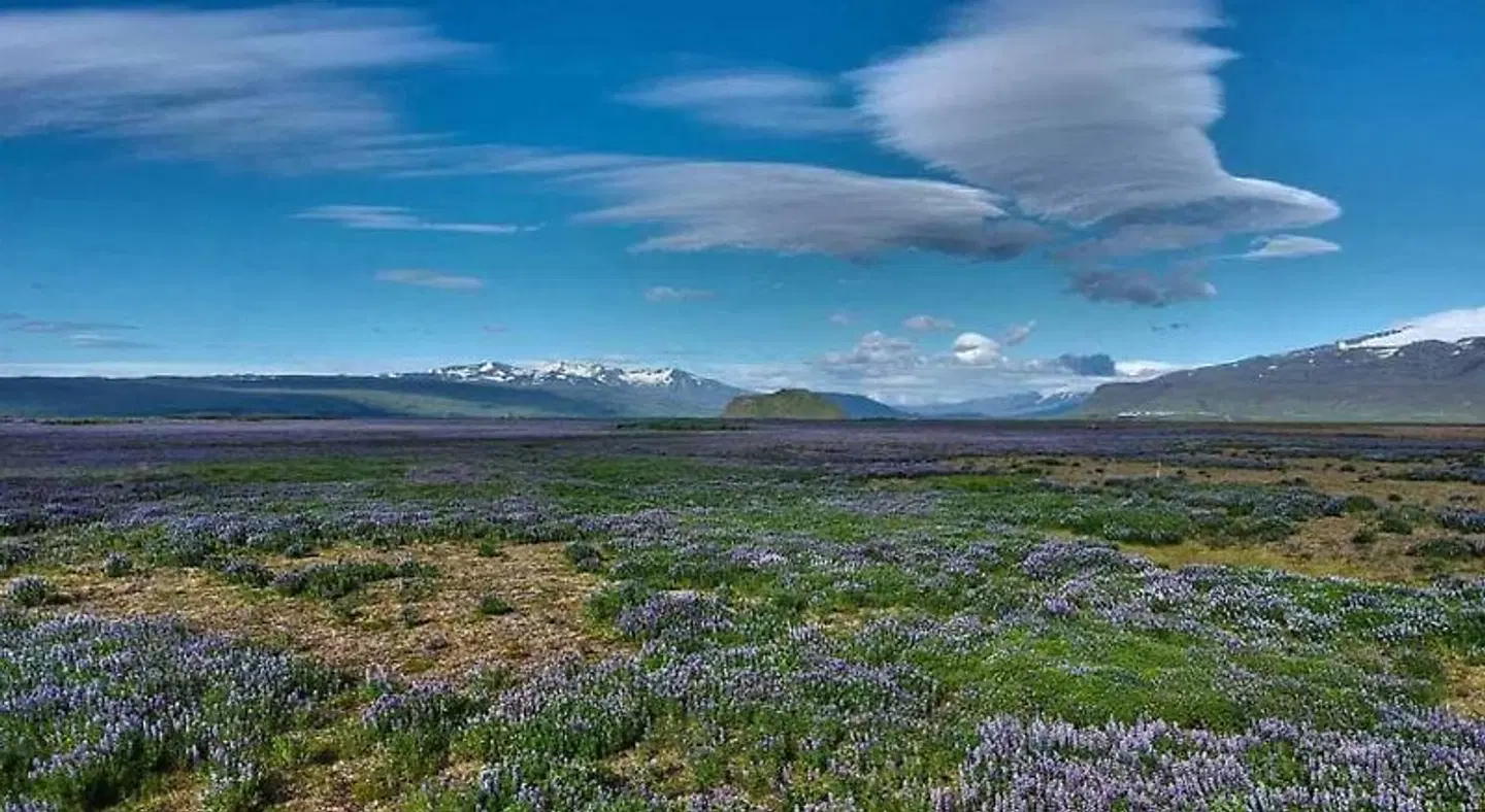 Hotel Selja LANDSCAPE
