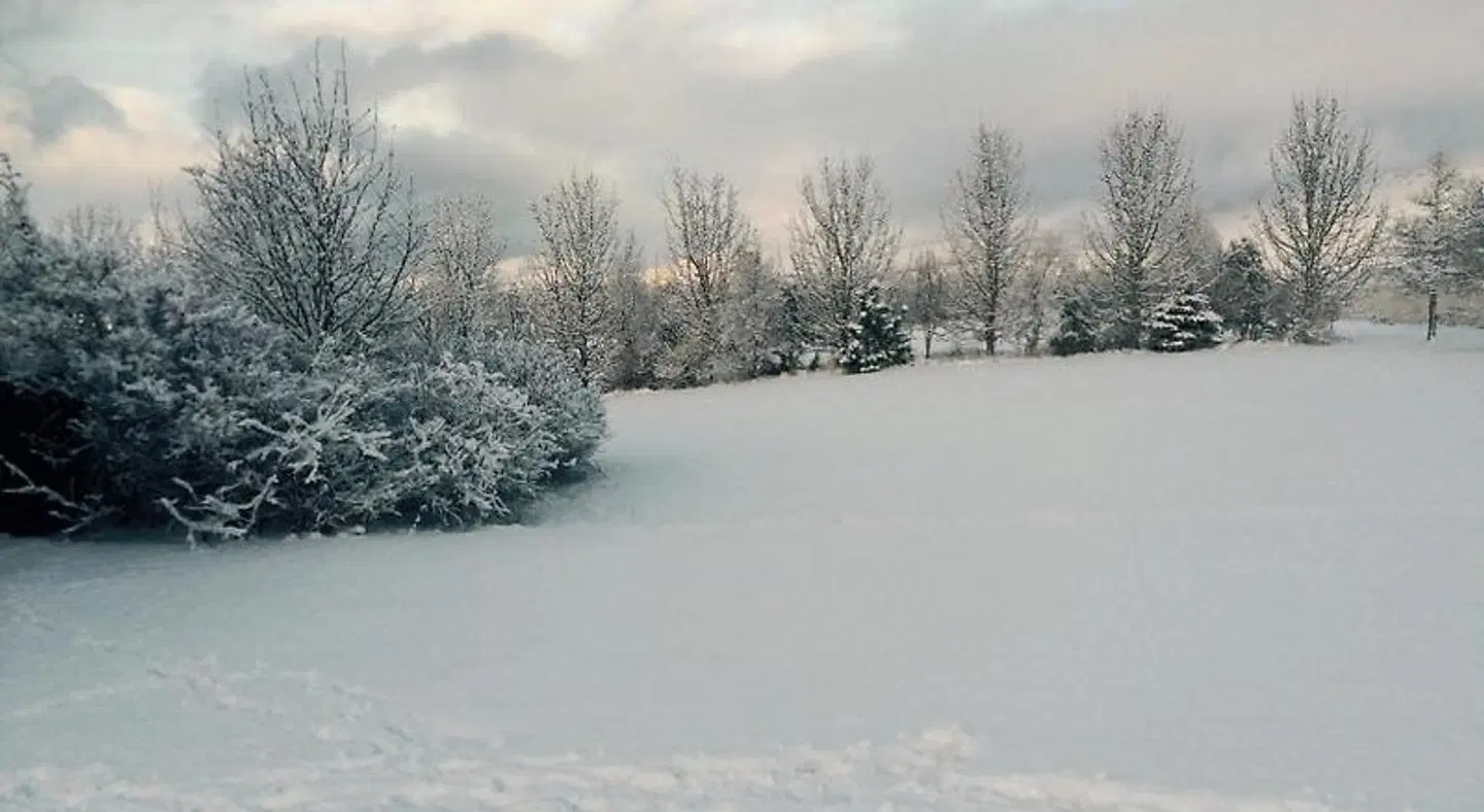 Ásar guesthouse LANDSCAPE