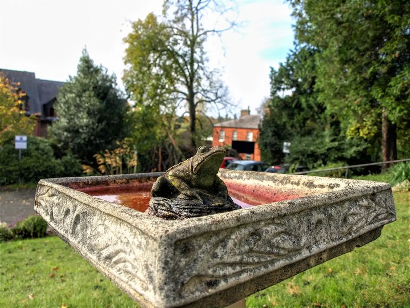 Torrington Hall Terrasse