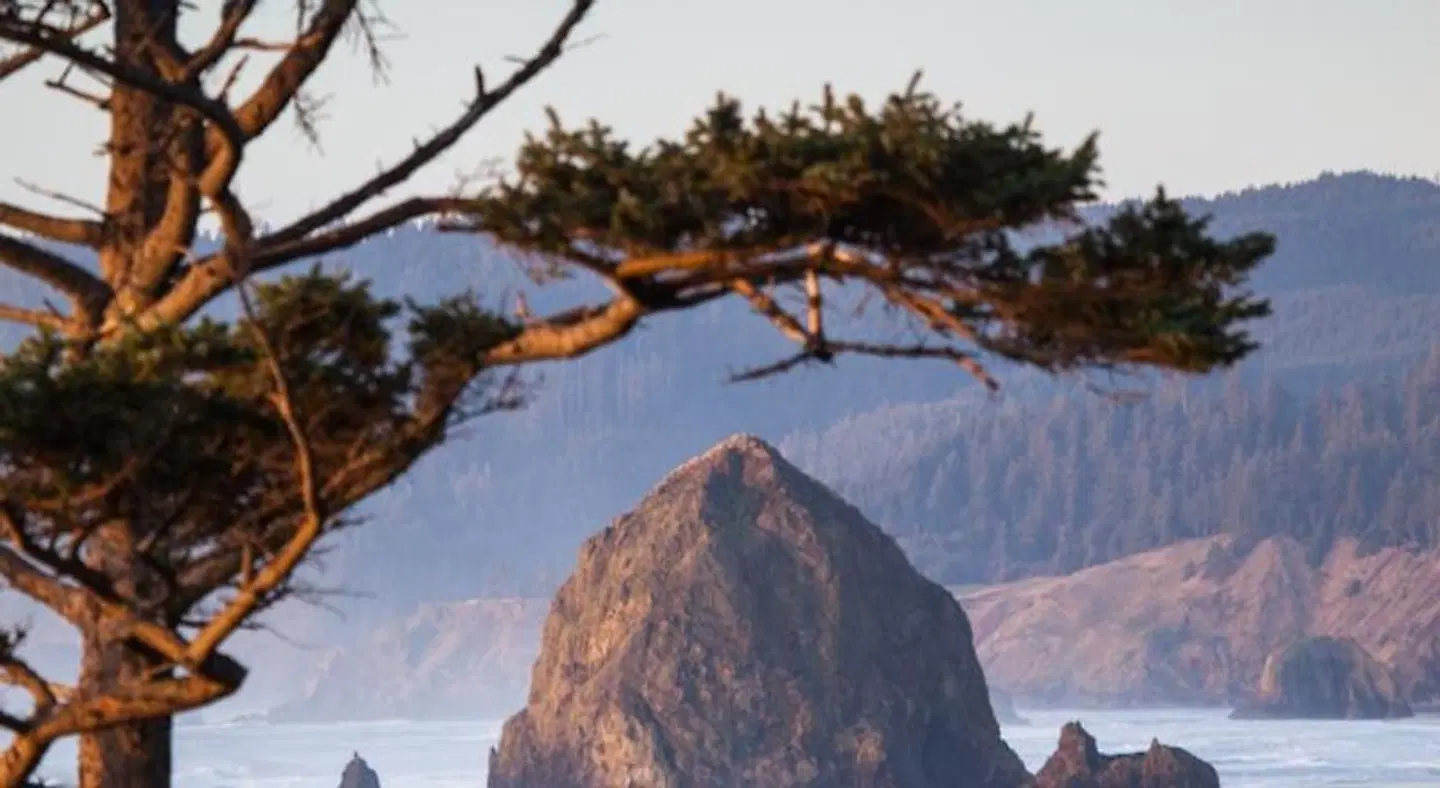 Inn at Cannon Beach LANDSCAPE