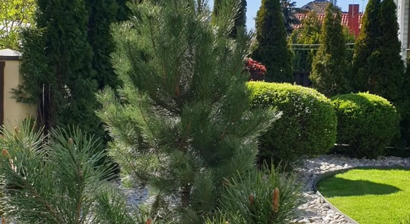Senoji Palanga Garten